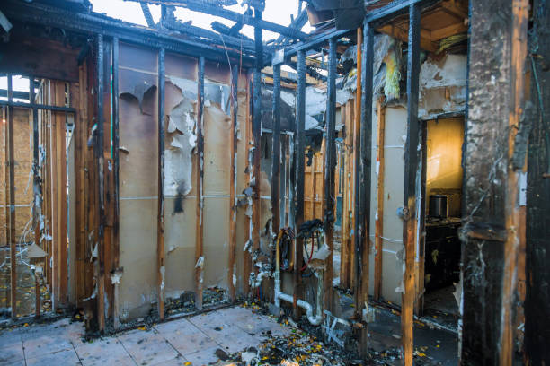 Professional Soot Cleanup technician working in Venus, TX